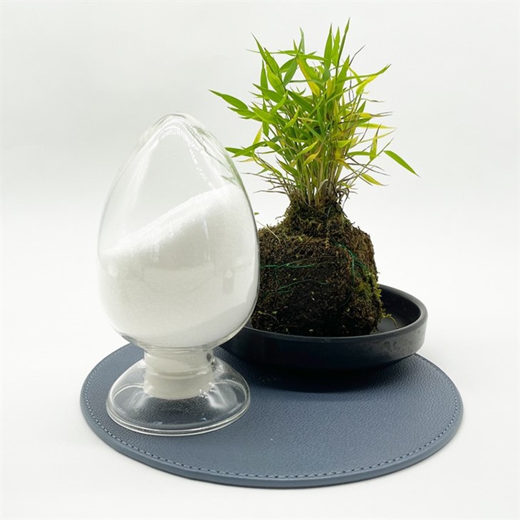 flocculant anionic polyacrylamide APAM